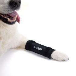 Ortocanis - Bandaż blaskowy dla psa