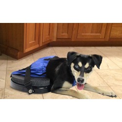 Walkinpets - Wózek inwalidzki dla psa "hulajnoga"