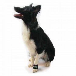 Ortocanis - Obciążniki na nogi dla psa