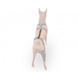 Ortocanis - Szelki na kolana dla psa