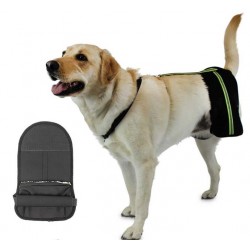 Walkinpets - Hip-EEZ System wsparcia dla psa