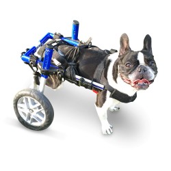 Walkinpets - Wózki inwalidzkie - Mały rozmiar (5 - 11 kg)