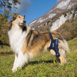 BALTO - Orteza stawu kolanowego dla psa ze wzmocnieniem