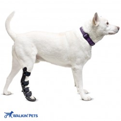 Walkinpets - Szyna ortopedyczna na tylne nogi dla psa